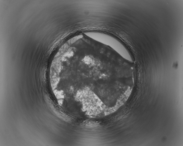 X0000114720491200912021158