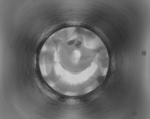 X0000114720494200912021158