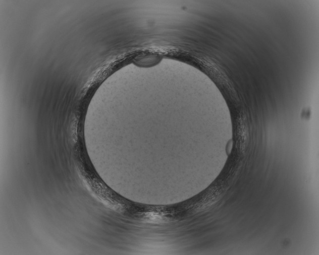 X0000114720496200912021158