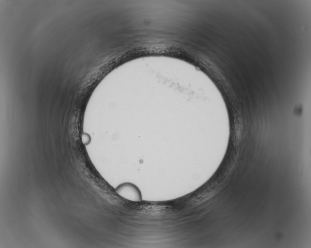 X0000114720497200912021158