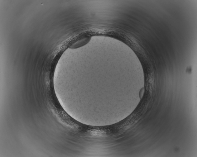 X0000114720500200912021158