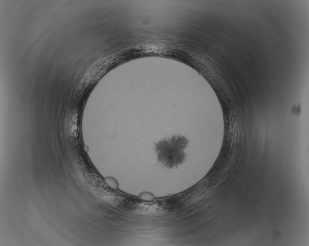 X0000114720502200912021158