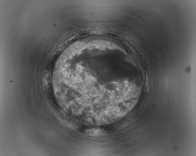 X0000114720503200912021158