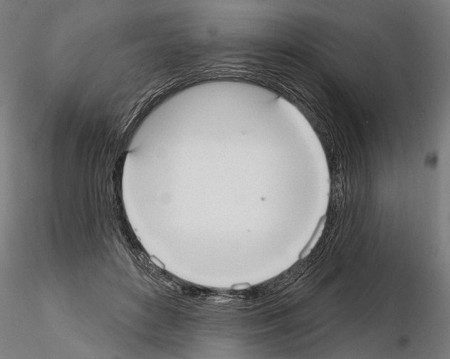 X0000114720504200912021158