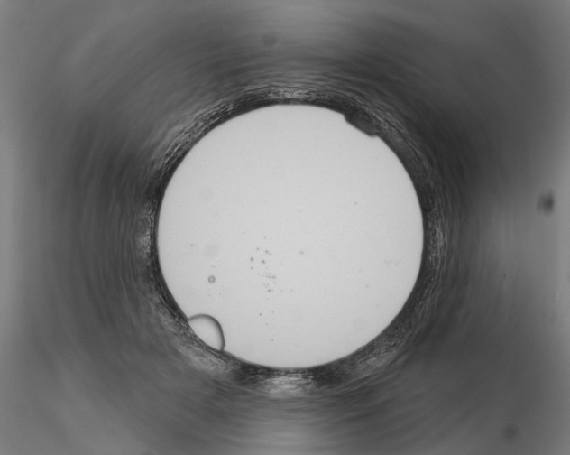 X0000114720505200912021158