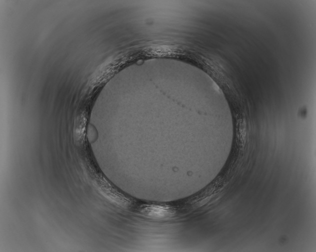 X0000114720507200912021158