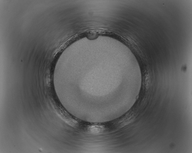 X0000114720508200912021158