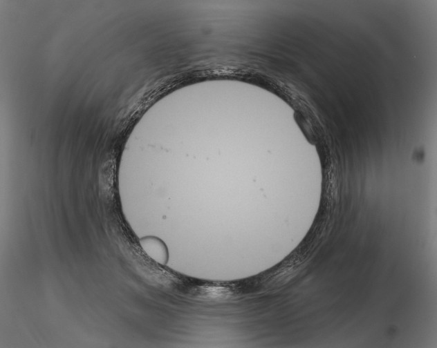 X0000114720509200912021158