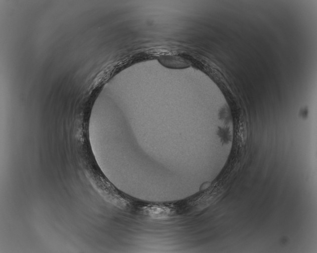 X0000114720512200912021157