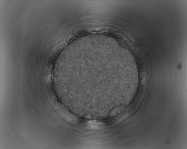 X0000114720515200912021157