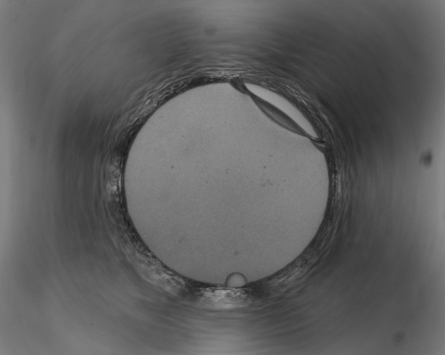 X0000114720517200912021157