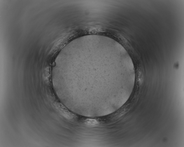 X0000114720519200912021157