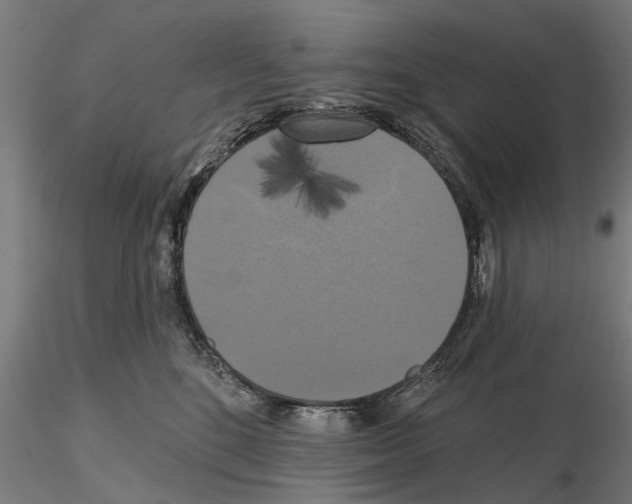 X0000114720520200912021157