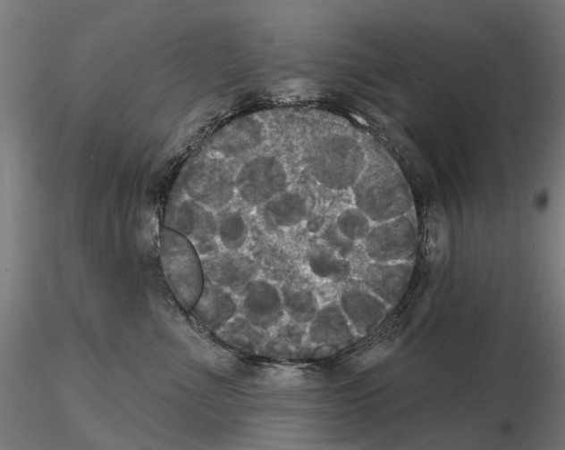 X0000114720523200912021157