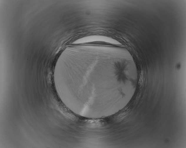 X0000114720524200912021157