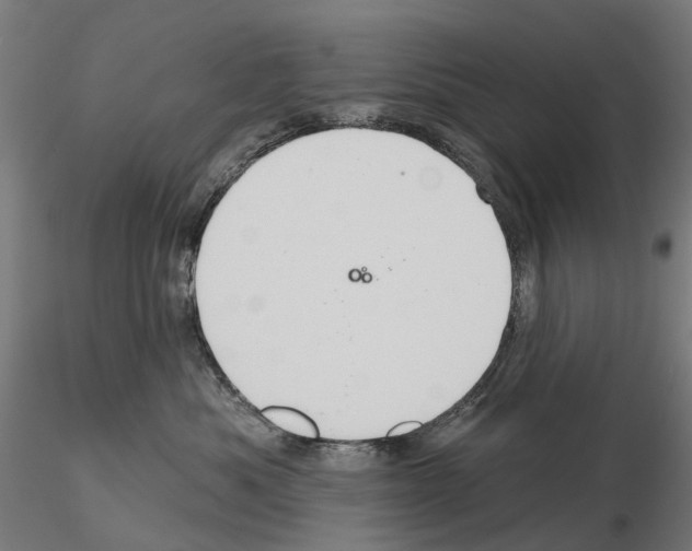 X0000114720525200912021157