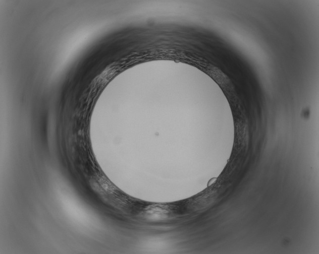 X0000114720526200912021157