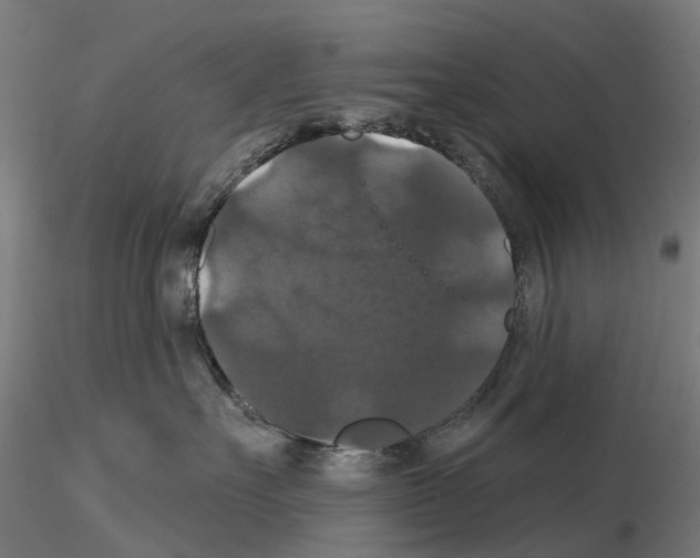 X0000114720527200912021157