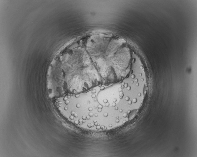 X0000114720529200912021157