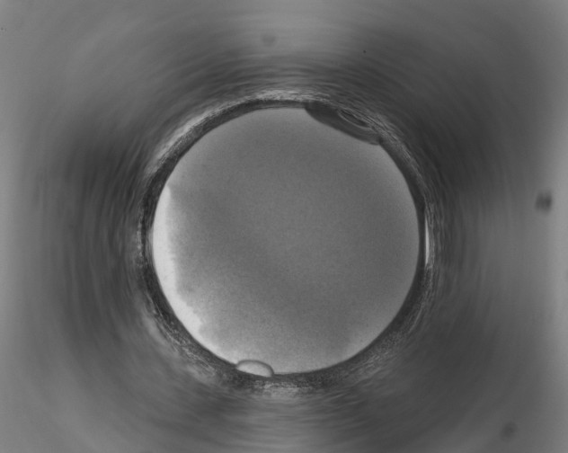 X0000114720531200912021157