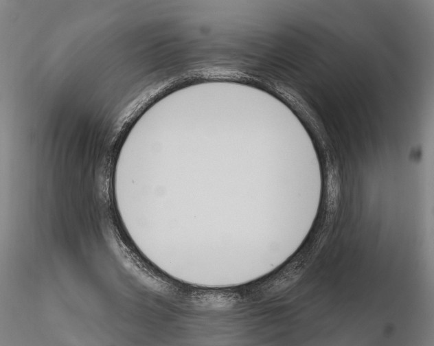 X0000114720533200912021157