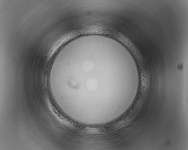 X0000114720534200912021157