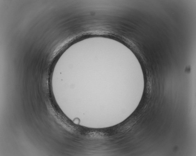 X0000114720535200912021157