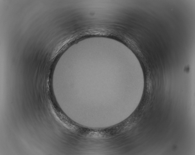 X0000114720538200912021157