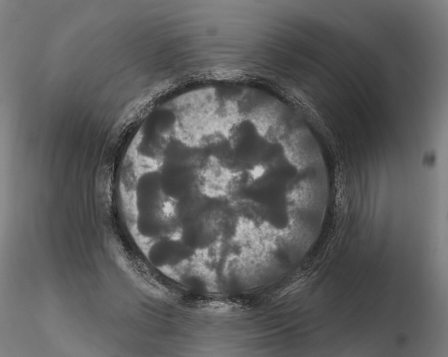 X0000114720542200912021157