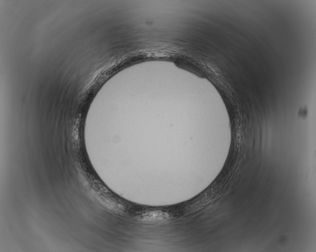 X0000114720543200912021157