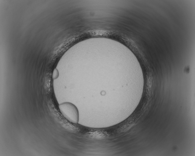 X0000114720545200912021157