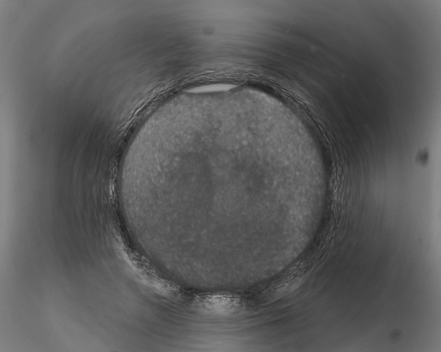 X0000114720546200912021157