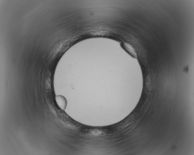 X0000114720547200912021157