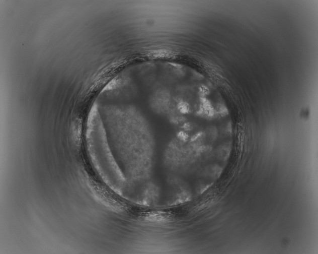 X0000114720550200912021157