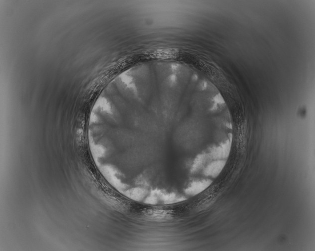 X0000114720553200912021157