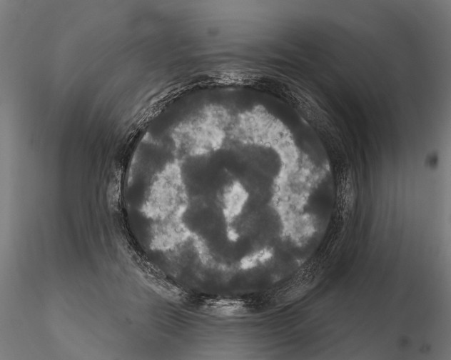 X0000114720554200912021157