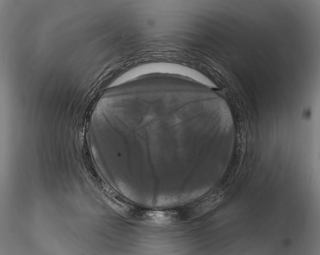 X0000114720558200912021157