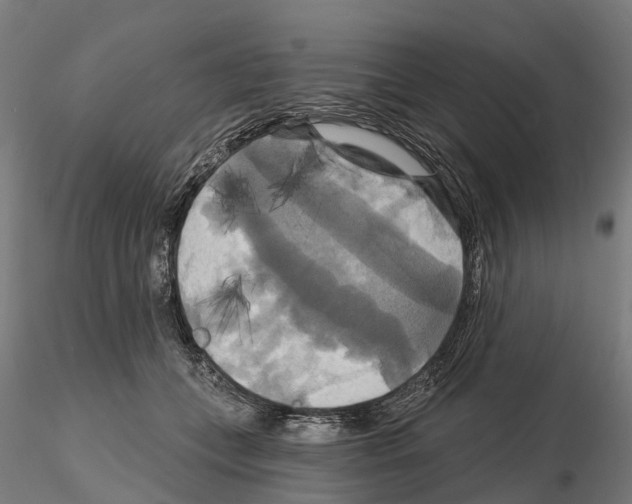 X0000114720559200912021157