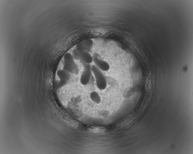 X0000114720561200912021157