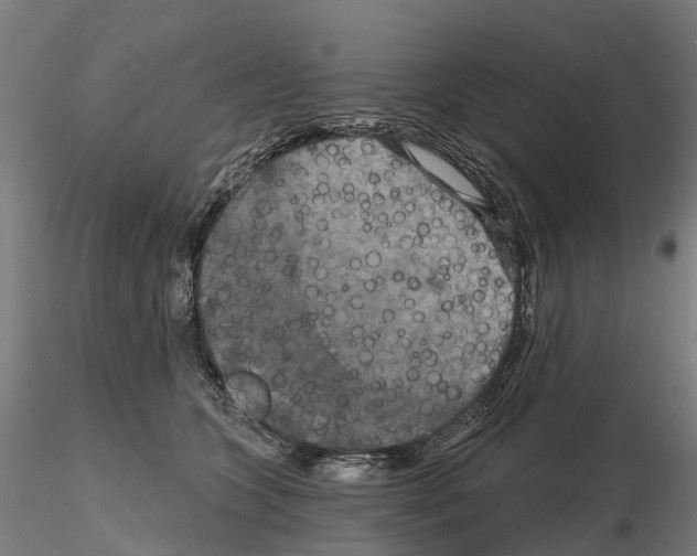 X0000114720563200912021157