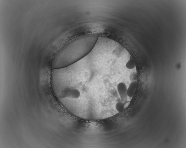 X0000114720565200912021157