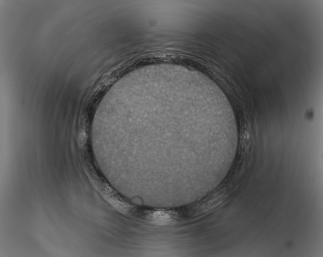 X0000114720566200912021157