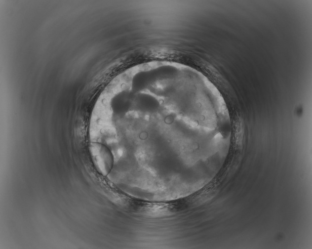 X0000114720569200912021157