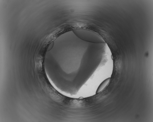 X0000114720570200912021157