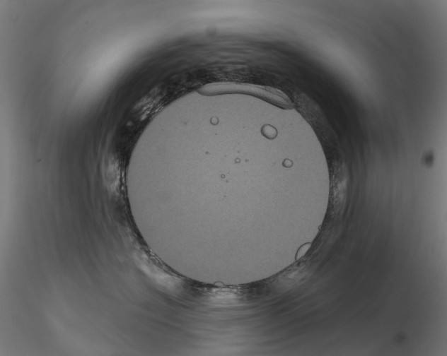 X0000114720574200912021157