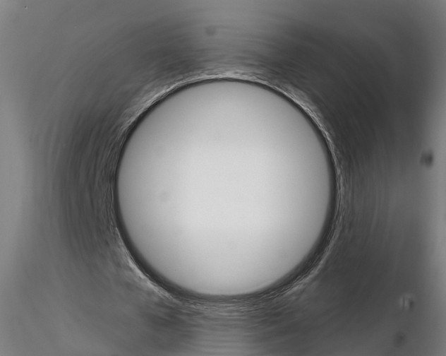 X0000114720577200912021157