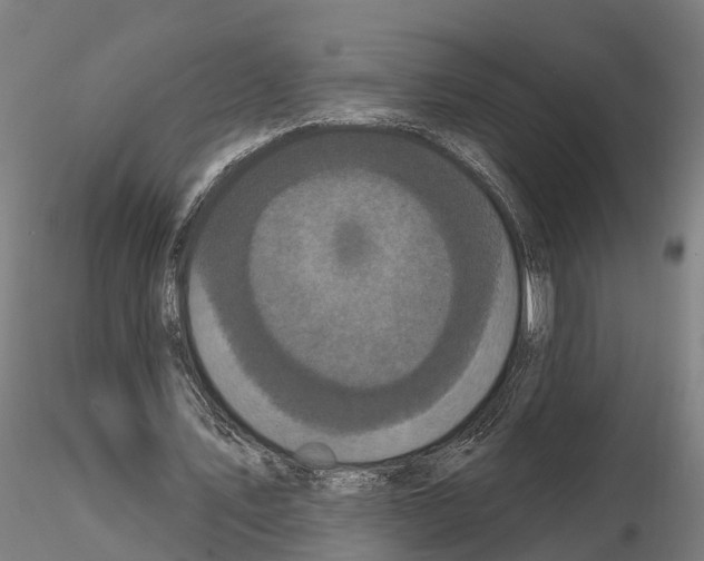 X0000114720579200912021157