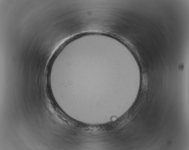 X0000114720580200912021157