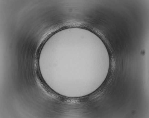 X0000114720582200912021157