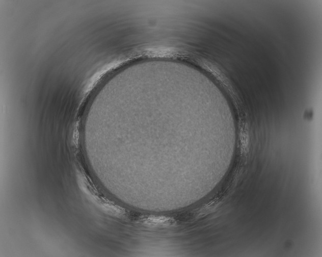 X0000114720583200912021156